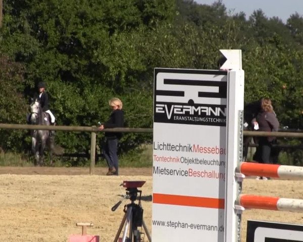Reitstall Brinkmann 2013