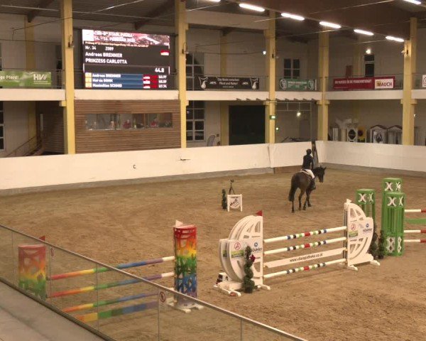 Reitturnier Stadl-Paura 2025
