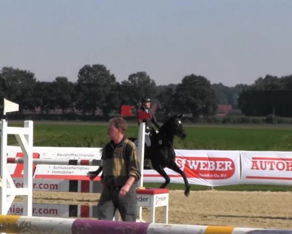 Reitstall Brinkmann 2013