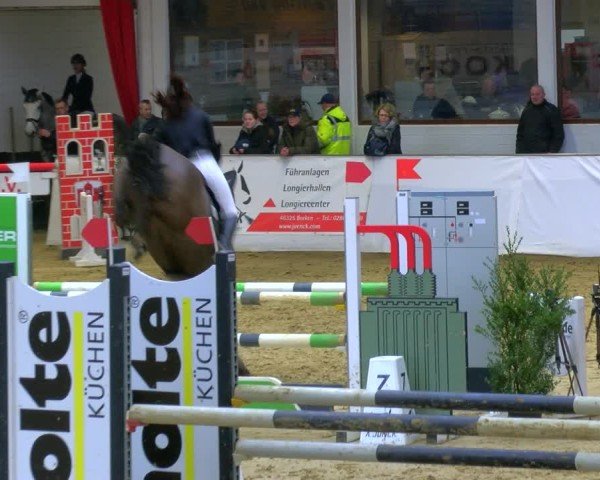 Reitturnier Borken 2025