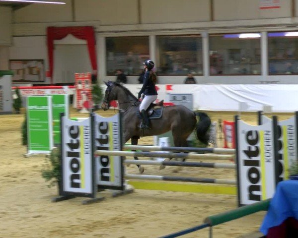 Reitturnier Borken 2025