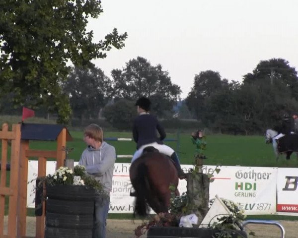Reitstall Brinkmann 2013