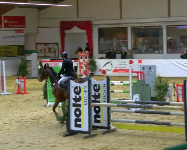 Reitturnier Borken 2025