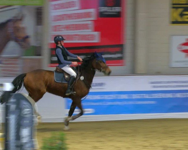 Reitturnier Borken 2025