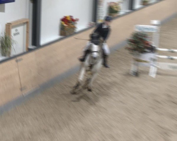 Reitturnier Borken (Hessen) 2025
