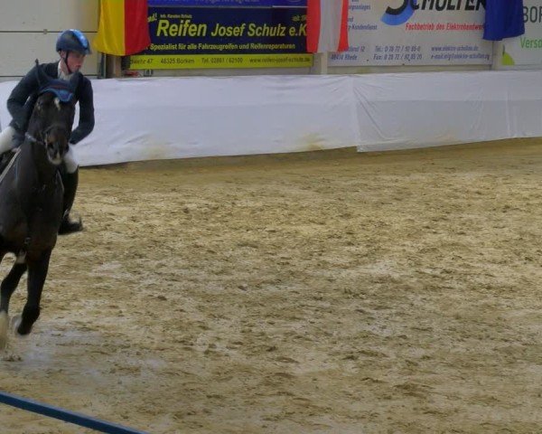 Reitturnier Borken 2025