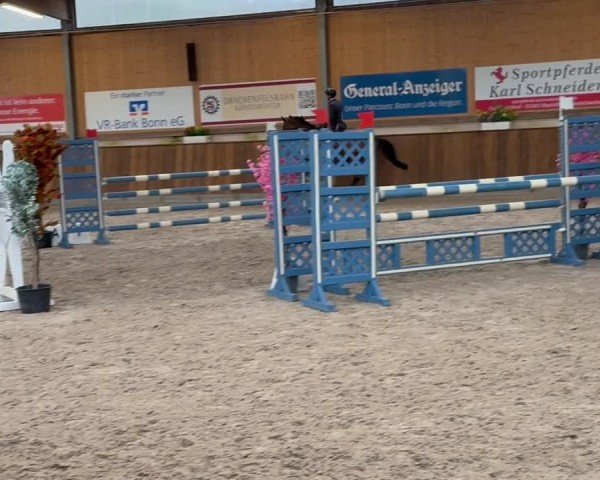 Video of Evarado