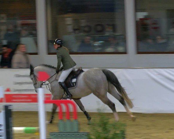 Reitturnier Borken 2025