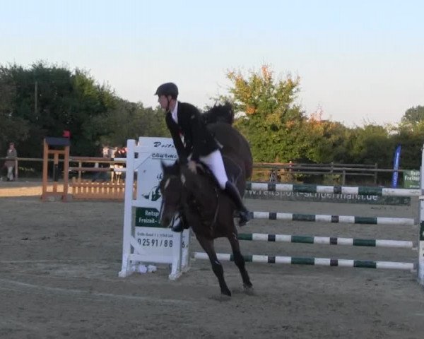 Reitstall Brinkmann 2013