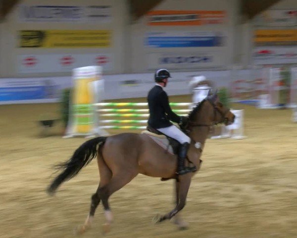 Reitturnier Borken 2025