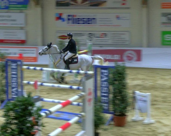 Reitturnier Borken 2025