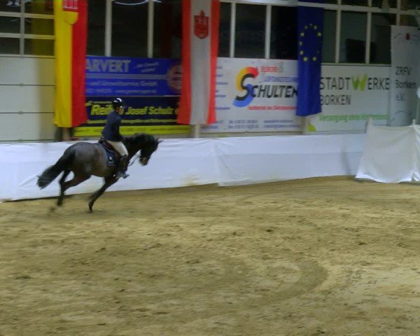 Reitturnier Borken 2025