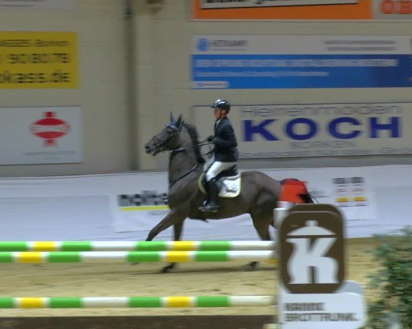 Reitturnier Borken 2025
