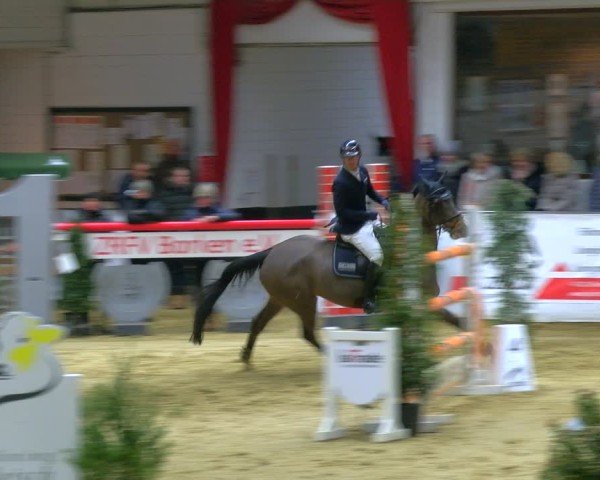 Reitturnier Borken 2025