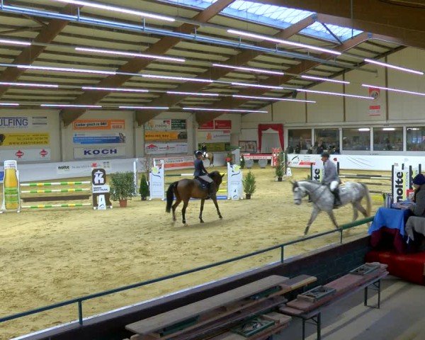 Reitturnier Borken 2025