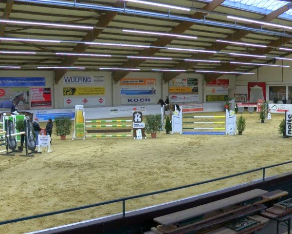 Reitturnier Borken 2025