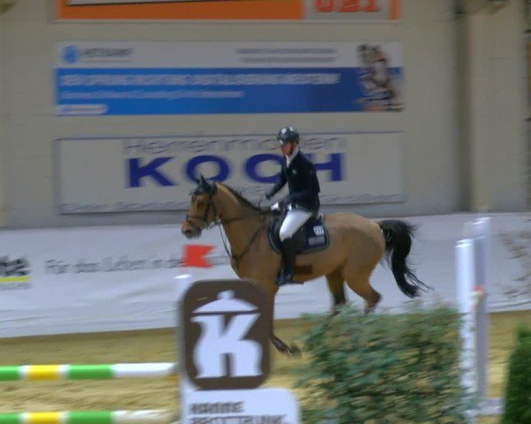 Reitturnier Borken 2025