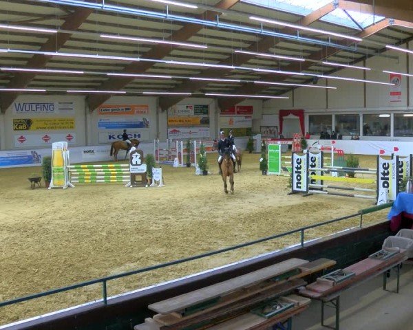 Reitturnier Borken 2025
