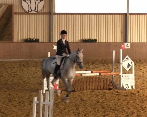 Reitstall Brinkmann 2013