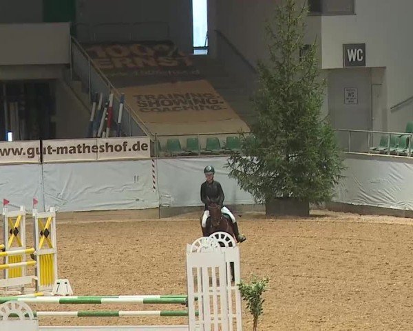 Reitturnier Kreuth/Opf. 2025