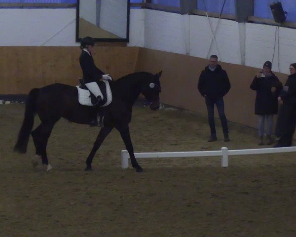 Reitturnier Datteln 2025