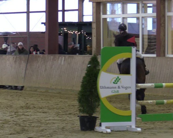Reitturnier Ostenfelde-Vornholz 2025