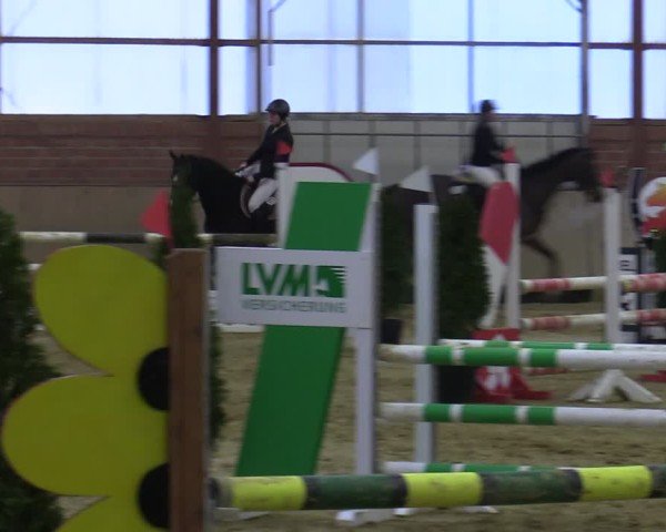 Reitturnier Ostenfelde-Vornholz 2025