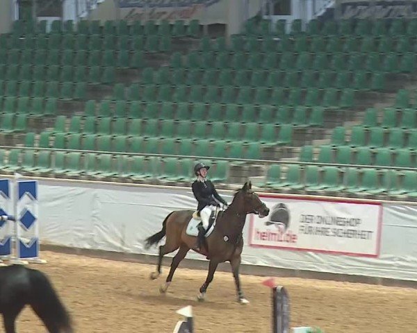 Reitturnier Kreuth/Opf. 2025