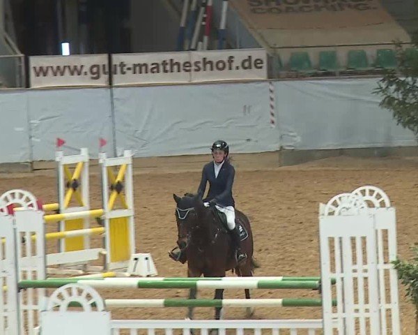 Reitturnier Kreuth/Opf. 2025