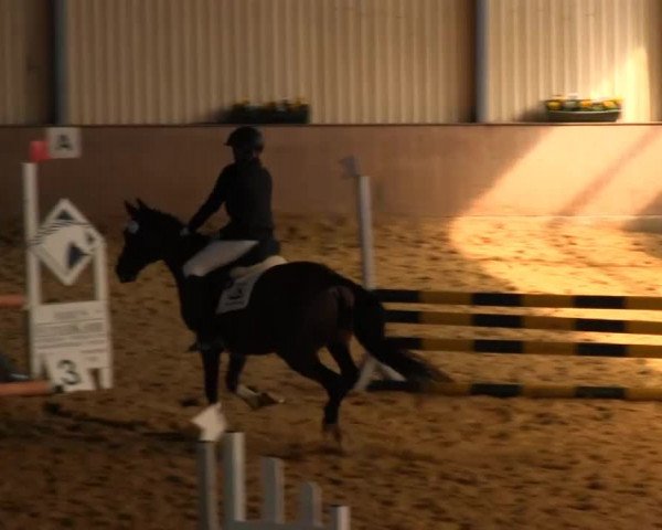 Reitstall Brinkmann 2013