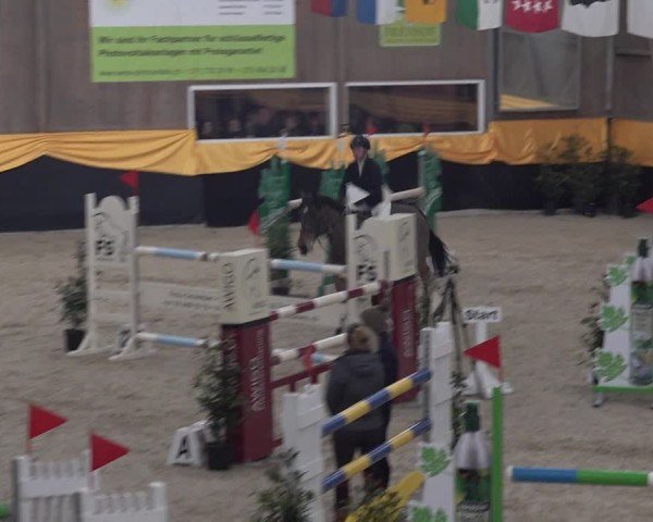 Reitturnier Erlen 2025
