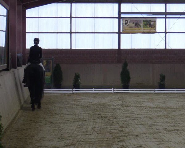 Reitturnier Ostenfelde-Vornholz 2025