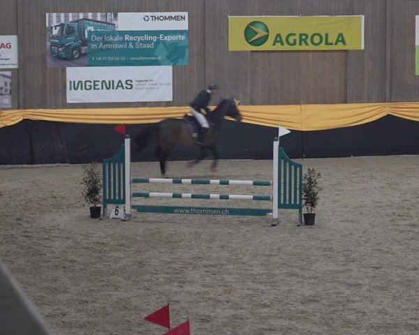 Reitturnier Erlen 2025