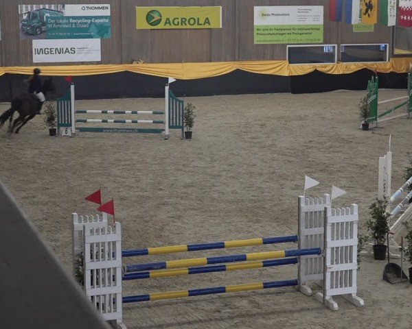 Reitturnier Erlen 2025