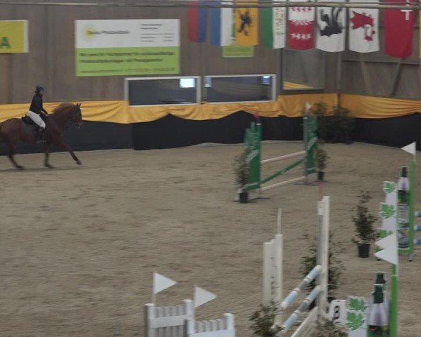 Reitturnier Erlen 2025