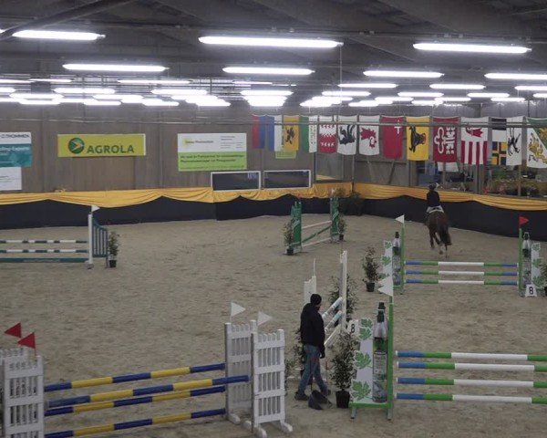 Reitturnier Erlen 2025