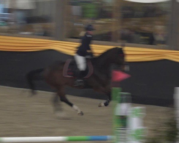 Reitturnier Erlen 2025