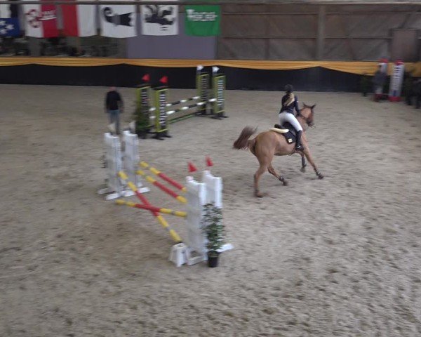 Reitturnier Erlen 2025