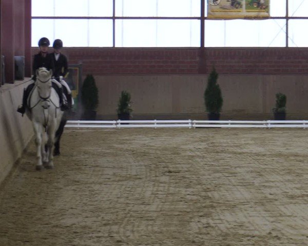 Reitturnier Ostenfelde-Vornholz 2025