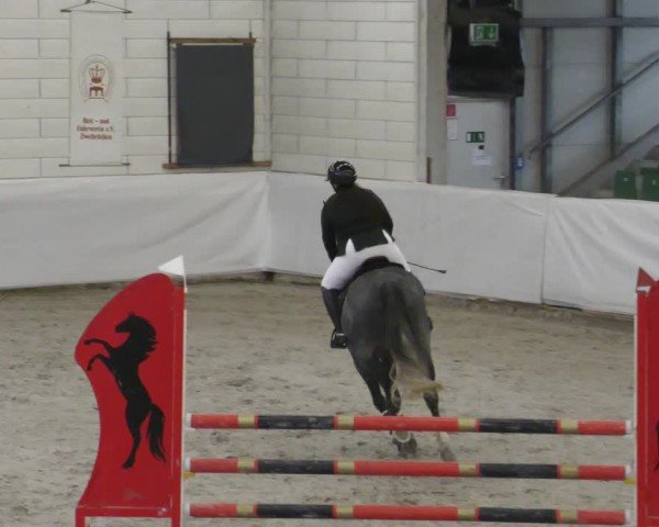 Reitturnier Zweibrücken - Halle 2025