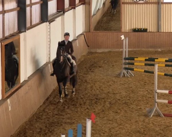 Reitstall Brinkmann 2013