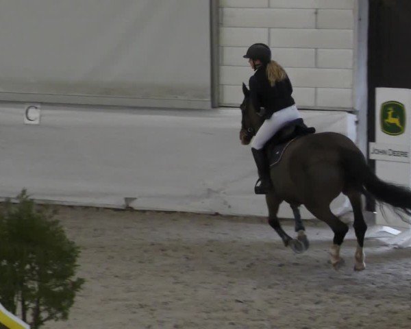 Reitturnier Zweibrücken - Halle 2025
