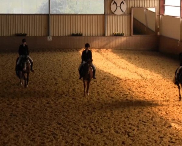 Reitstall Brinkmann 2013