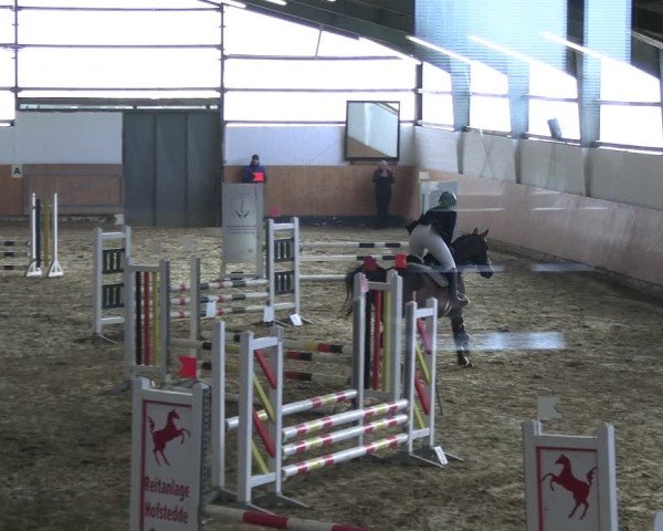 Reitturnier Datteln 2025