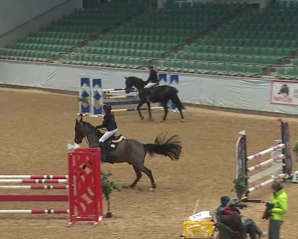 Reitturnier Kreuth/Opf. 2025
