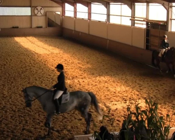 Reitstall Brinkmann 2013