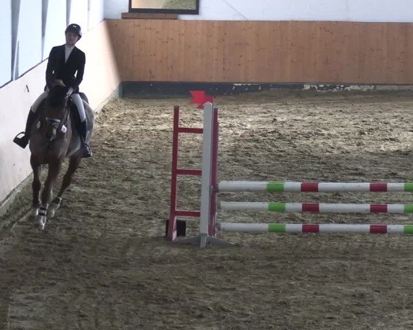 Reitturnier Datteln 2025