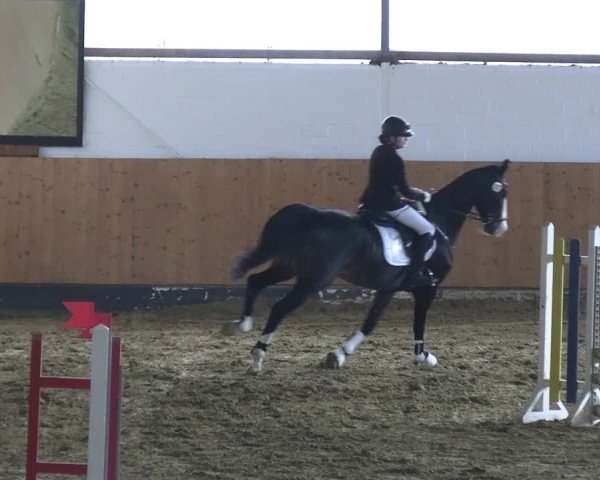 Reitturnier Datteln 2025
