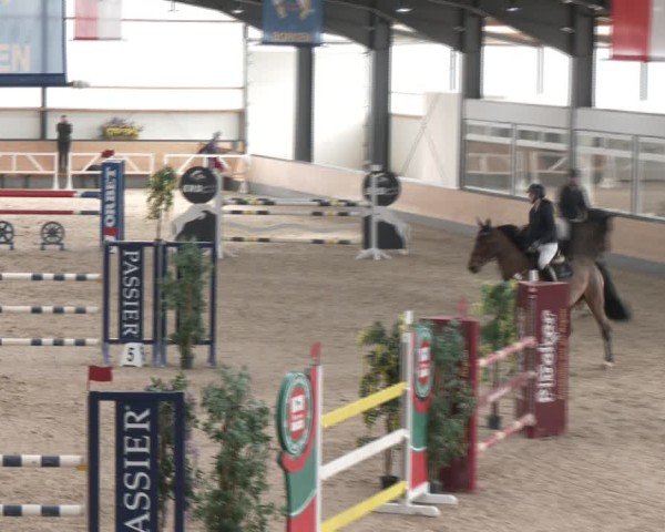 Reitturnier Borken (Hessen) 2025