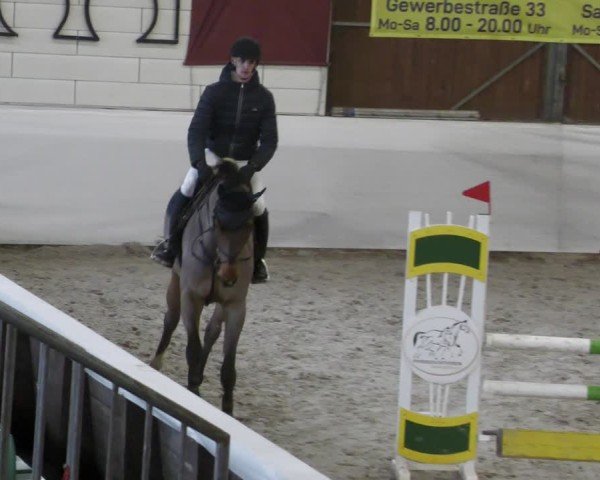 Reitturnier Zweibrücken - Halle 2025